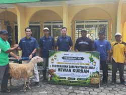 PTPN I Regional 5 Salurkan 101 Ekor Hewan Kurban di Hari Raya Idul Adha 1447H